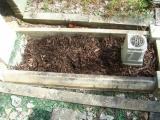 image of grave number 624107